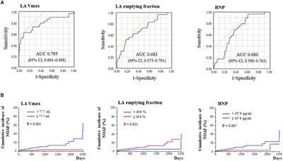 Not Baseline Atrial Fibrillation but New-Onset Atrial Fibrillation and the Loss of Left Atrial Function Are Essential for Predicting Poor Outcomes in Non-ischemic Cardiomyopathy